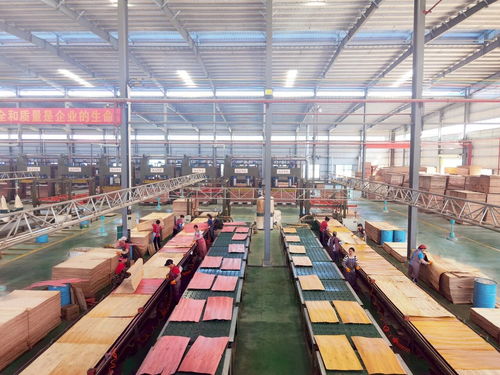 啟陽(yáng)新材料 勇立潮頭，成為貴港首家獲全國(guó)工業(yè)產(chǎn)品生產(chǎn)許可證的飼料原料銷售企業(yè)